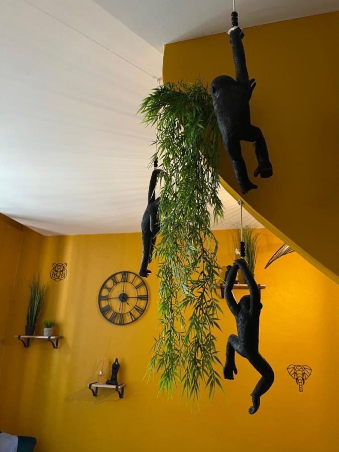 Jungle Room 로만스수르아이져 외부 사진